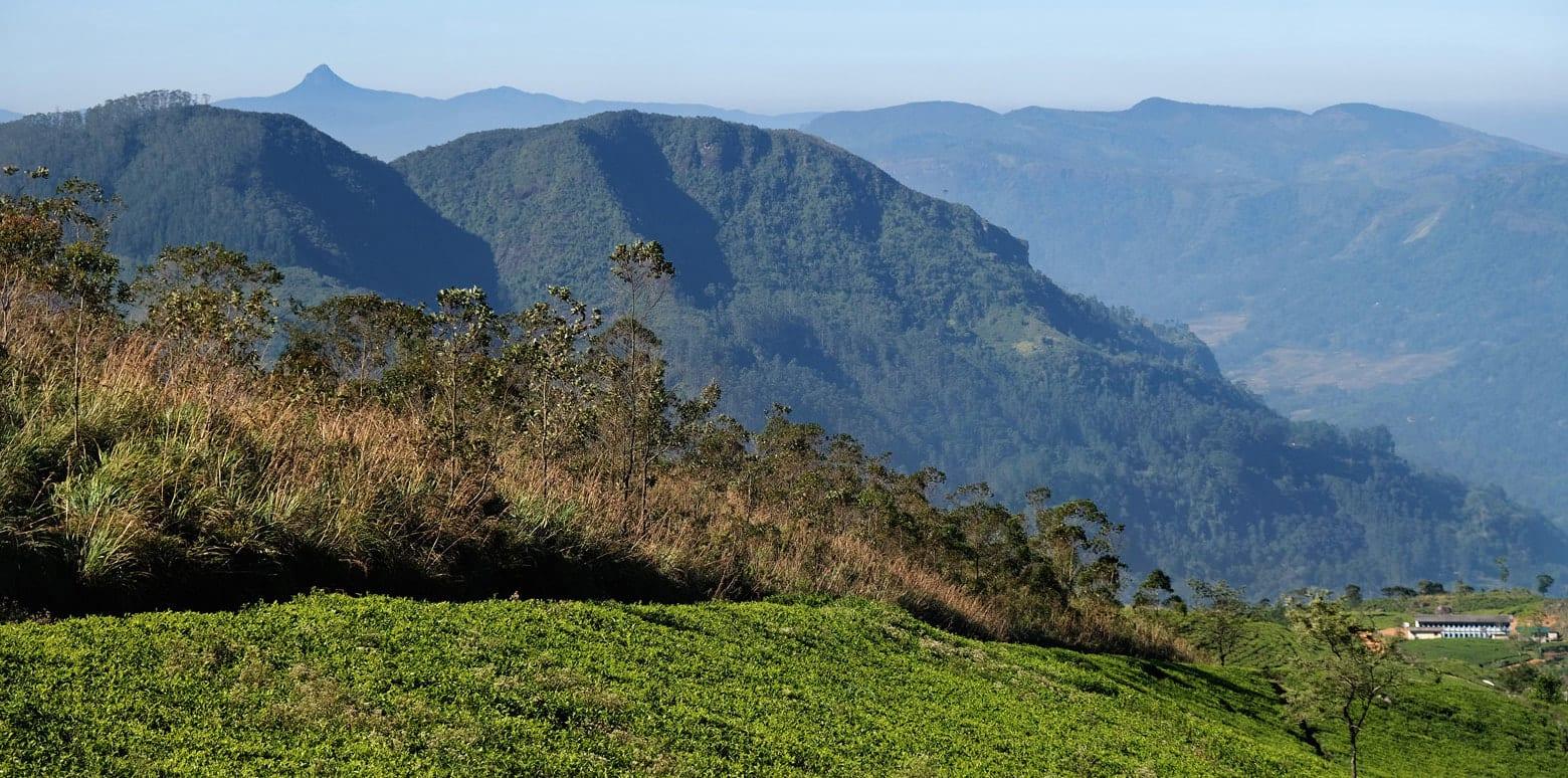 Central Highlands property investment