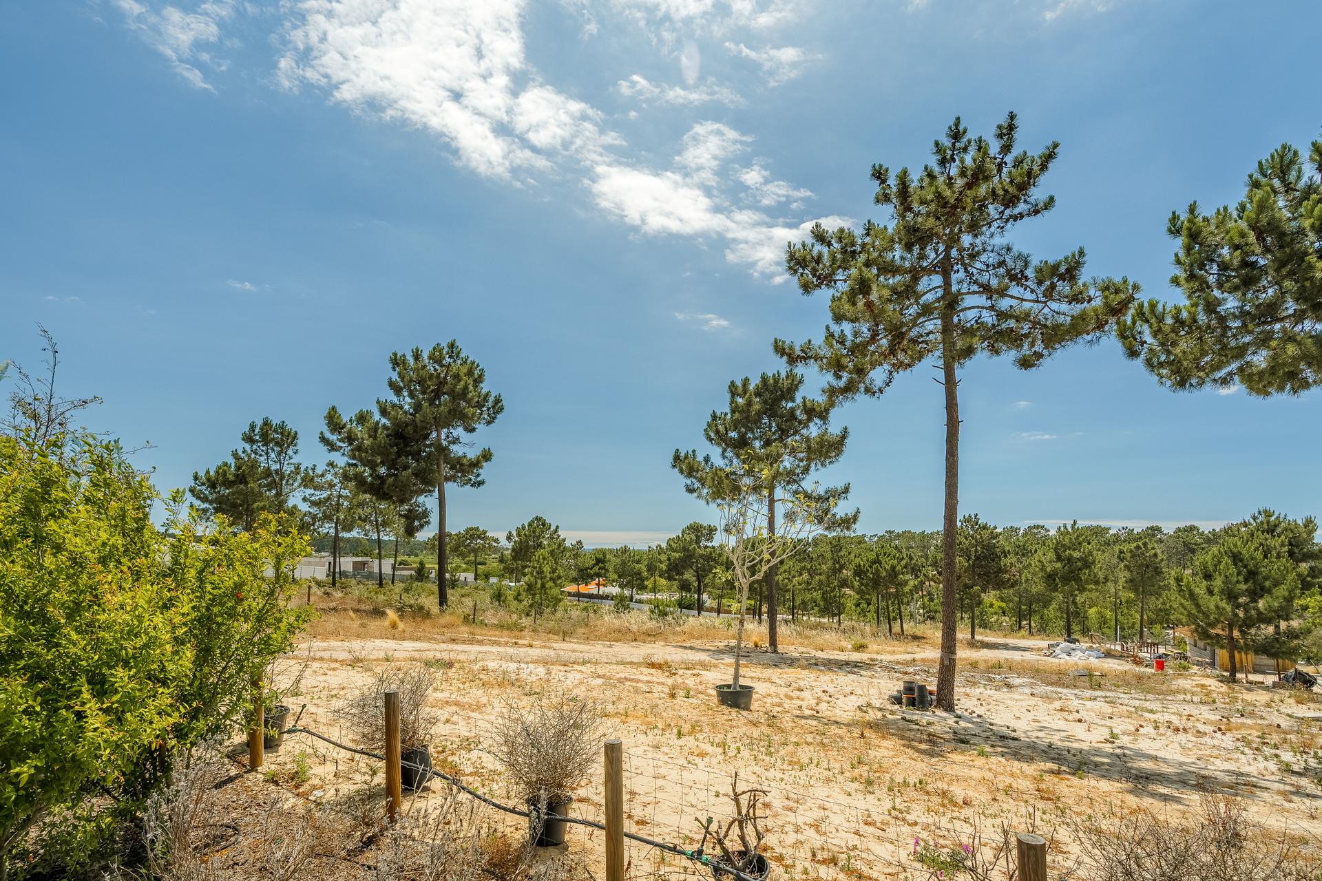 Land in Grândola (81010) — photograph 4