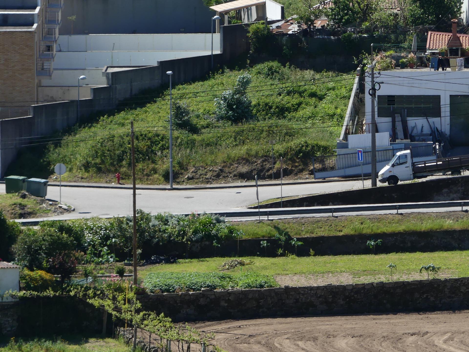 Farm in Barcelos (47452) — photograph 5
