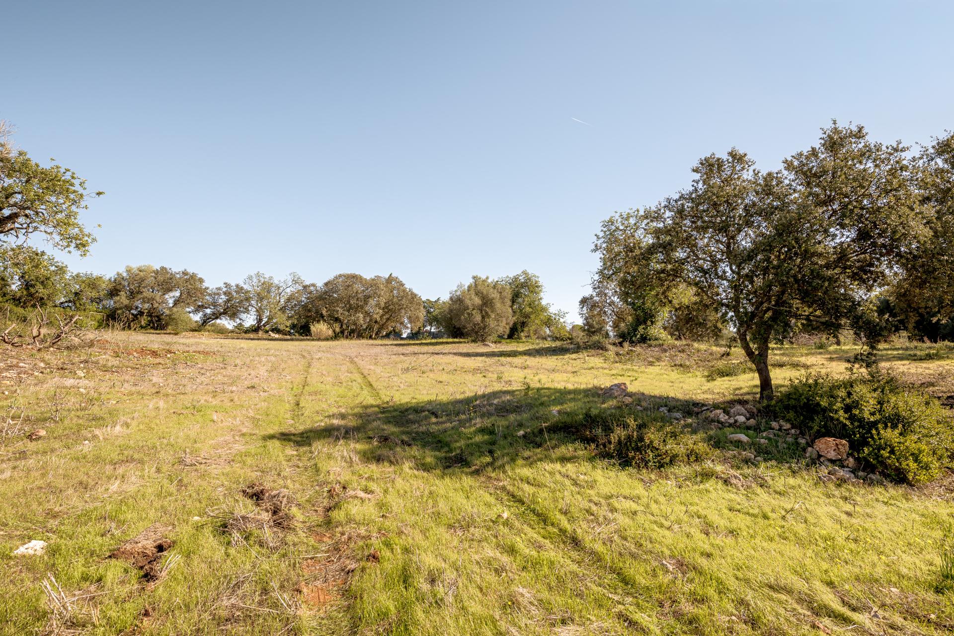 Land in Silves (93912) — photograph 3